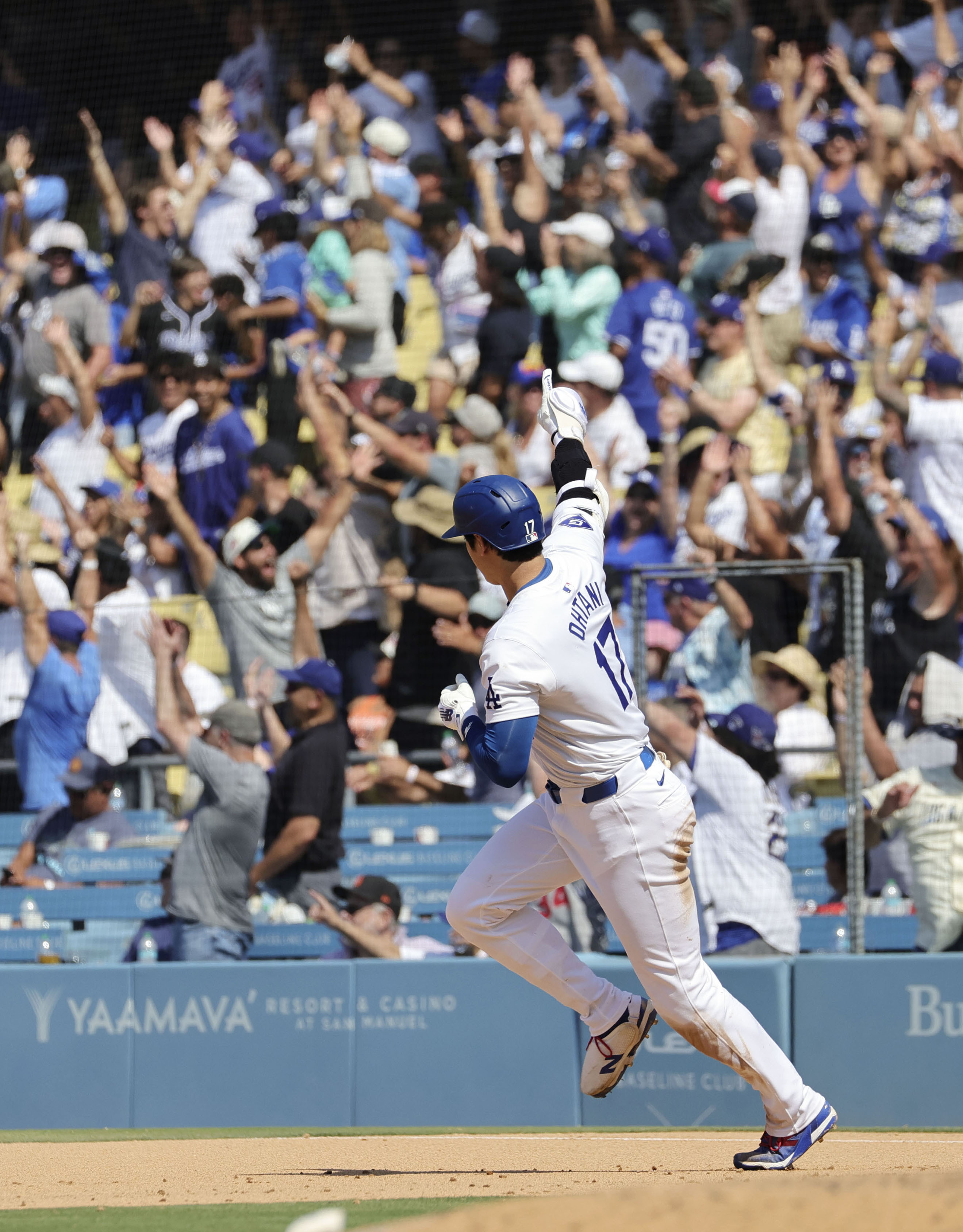 ３１号ソロの大谷 米大リーグ・大谷