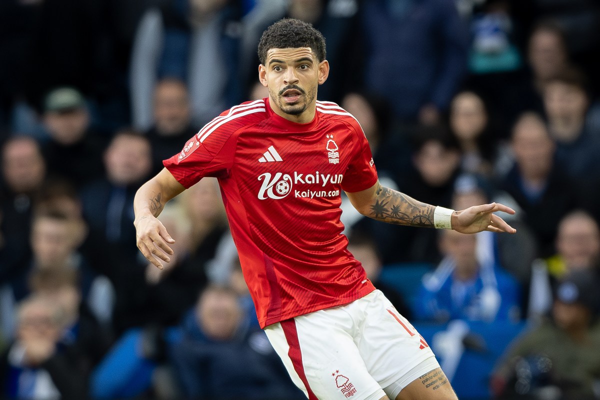 March 2025; American Express Stadium, Brighton, England; FA Cup Quarter Final Football, Brighton and Hove Albion versus Nottingham Forest; Morgan Gibbs-White of Nottingham Forest (Credit Image: c Ian Stephen/Action Plus Sports via ZUMA Press Wire)、クレジット：cＩａｎ　Ｓｔｅｐｈｅｎ／ＡＰＳ　ｖｉａ　ＺＵＭＡ　Ｐｒｅｓｓ　Ｗｉｒｅ／共同通信イメージズ