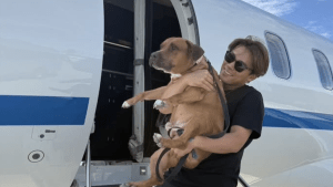 「友達はデコピン」山本由伸、愛犬“カルロス”を初公開　プライベートジェットでの抱っこショットに「可愛すぎる」「陰のMVP」