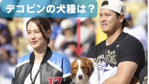 愛犬デコピンを抱くドジャースの大谷翔平と妻の真美子さん＝２０２４年１１月、ロサンゼルス（共同）