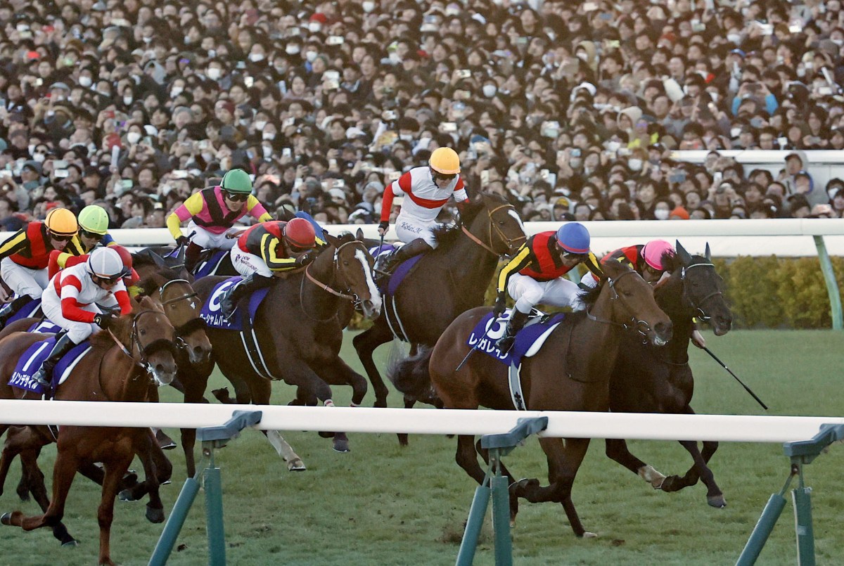 第６９回有馬記念を制したレガレイラ（右手前）＝中山競馬場