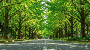 高校駅伝でスーパー女子高生・久保凛に注目　脅威の9人ごぼう抜きにネット衝撃「まだ高校生なの忘れてた」「さすがすぎる」