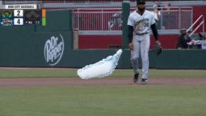 マウンドに突如“謎の物体”が出現　MLBマイナーリーグの試合が中断？　「紙おむつの妖怪」「Aliens」と議論白熱