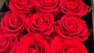 ダルビッシュ有、妻・聖子へ愛のサプライズプレゼント！　バレンタインに奔走した舞台裏に驚愕「ダル君男前やな〜！」「素敵なご夫婦」