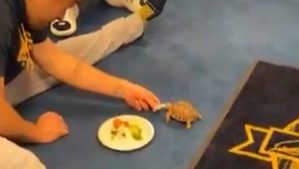 【MLB】ブルワーズ、球団に迎えた“新ペット”にSNS話題沸騰！　「かわいすぎる」「Oh my god」