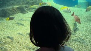 世界卓球解説・平野早矢香“母の顔”でもらした本音「お母さんを誇りに思う」