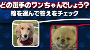 「どの選手のワンちゃんでしょう？」　大谷翔平らMLB選手6名の愛犬当てクイズに「みんな可愛い」「ワンダフル」とファンほっこり